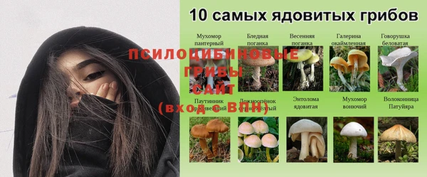 Альфа ПВП Алексеевка
