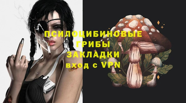 прущие грибы Алексин
