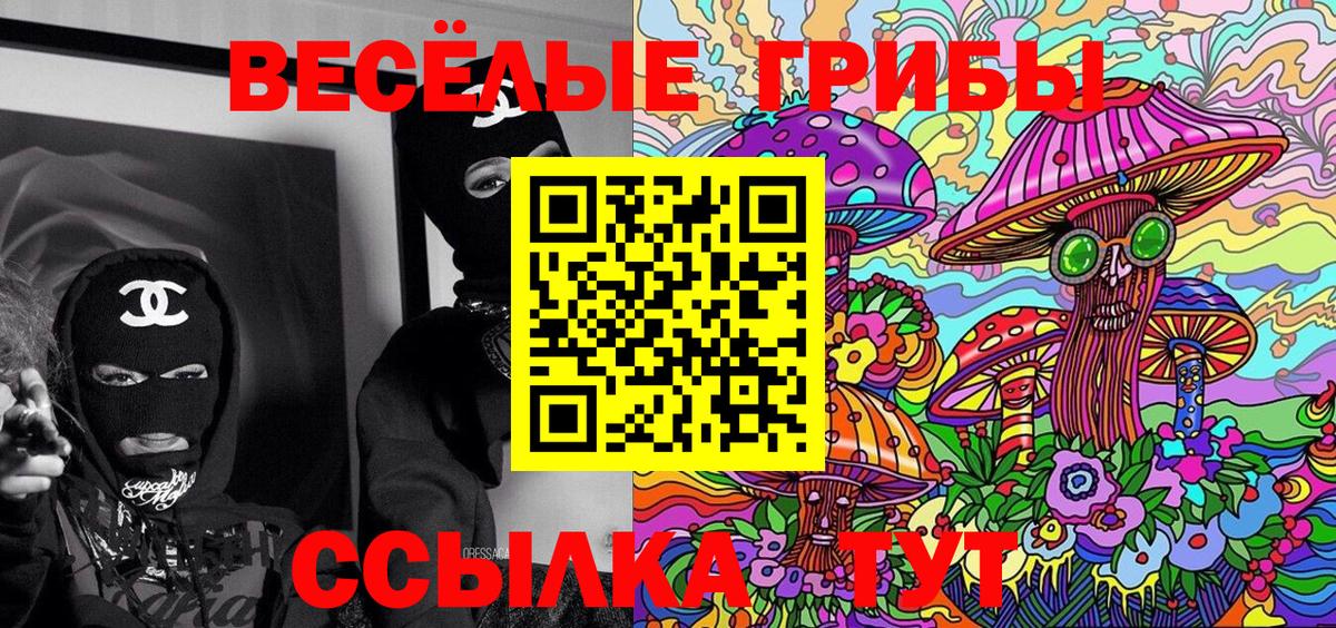 Галлюциногенные грибы мухоморы Солнечногорск